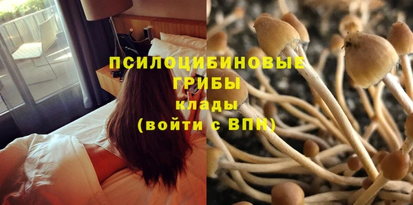 амфетамин Зеленодольск